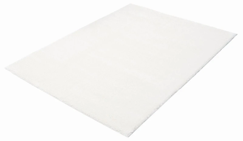 ECARPET Tapis Moderne à Poils Longs, Super Doux et Moelleux pour Salon, Chambre à Coucher, Foyer, Corridor, Derrière en Coton Antidérapant, Collection Blizz