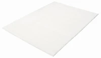 ECARPET Tapis Moderne à Poils Longs, Super Doux et Moelleux pour Salon, Chambre à Coucher, Foyer, Corridor, Derrière en Coton Antidérapant, Collection Blizz