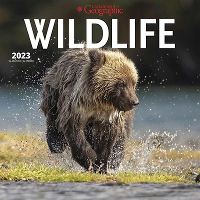 Canadian Geographic Wildlife 2023 Square