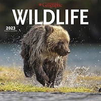 Canadian Geographic Wildlife 2023 Square