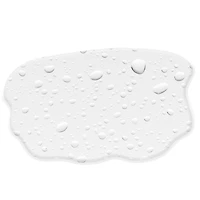Photo Focus Primer Water