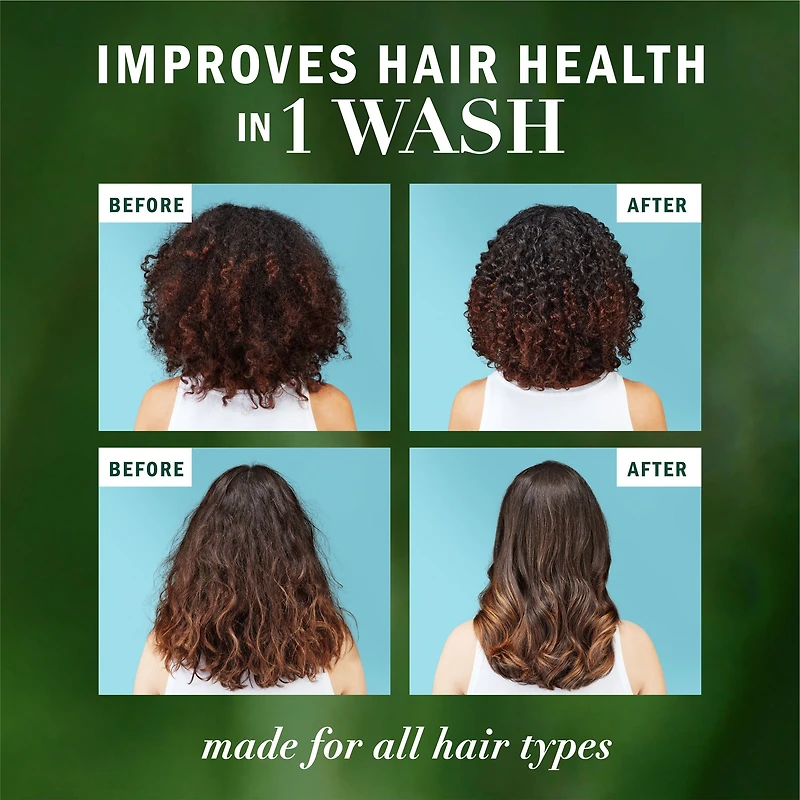 Herbal Essences Argan Oil Paraben Free Shampoo, Hair Repair, with Certified Camellia Oil and Aloe Vera, For All Hair Types, Especially Damaged Hair, 400ML