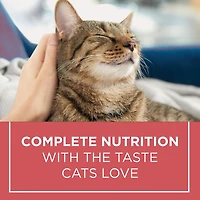 Cat Chow Complète avec Vrai Saumon, Nourriture Sèche pour Chats 1,6-6,4 kg