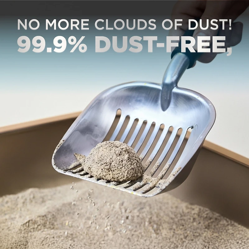 Litière pour Chat Platinum Cloud Control, Gris