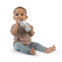 Ingenuity Sylvi™ NATURAL RUBBER Teether, 0 - 36 months