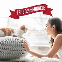 Nature’s Miracle Stain And Odour Remover For Cats 32 Ounces, Spray, Odour Control Formula