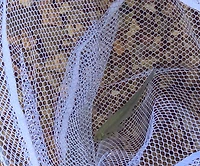 Plano Molding Frabill 3049 Wood Handle Baitwell Net, 9" X 8" D shaped hoop with fixed handle.