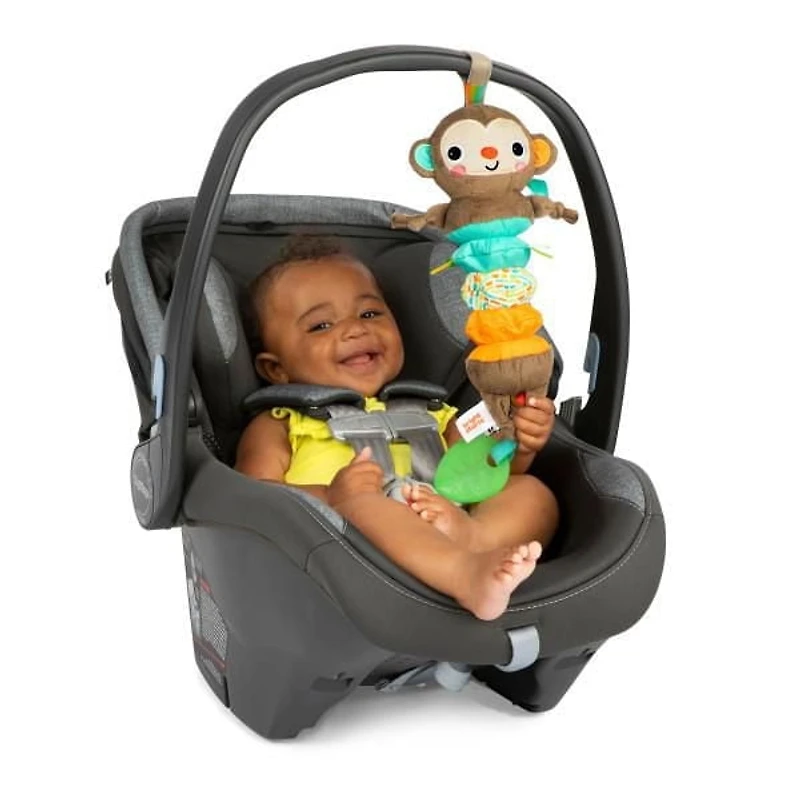 Bright Starts Pull, Play & Boogie Musical Activity Toy, 0+ months; peg