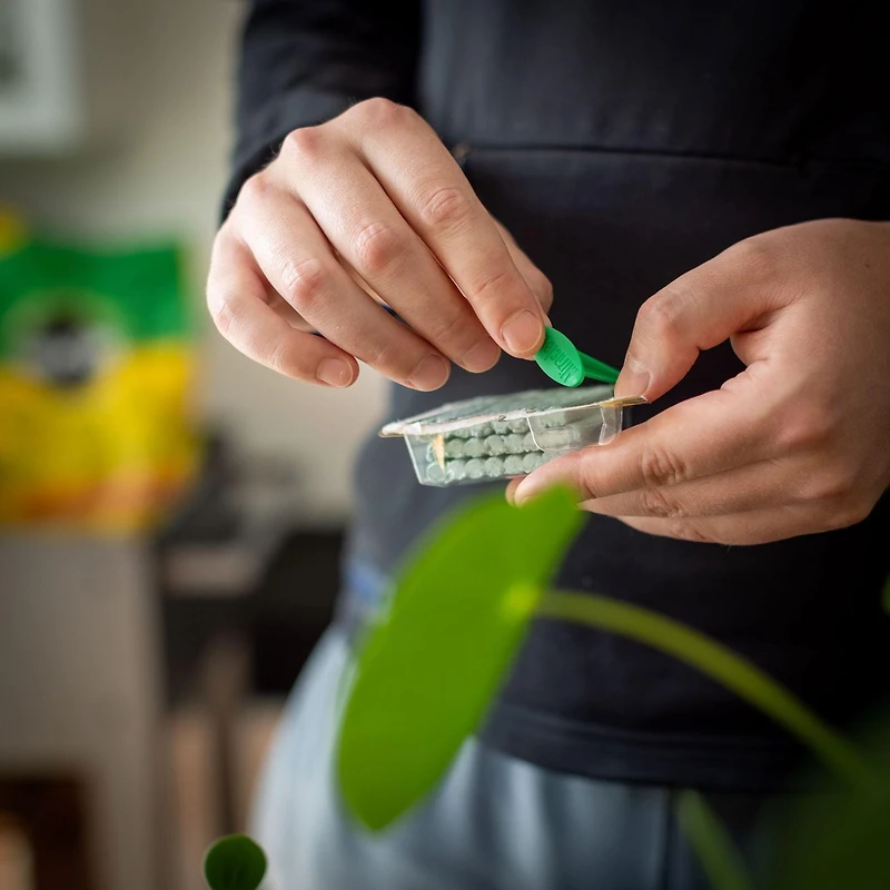 Bâtonnets d'engrais pour plantes d'intérieur Miracle-Gro - 24 bâtonnets Pour toutes les plantes