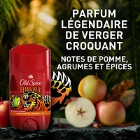 Old Spice Anti-Perspirant Deodorant for Men, Bearglove, 73 g