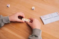 Smart Games Zoo Yatzy - Jeu de dés - 5+