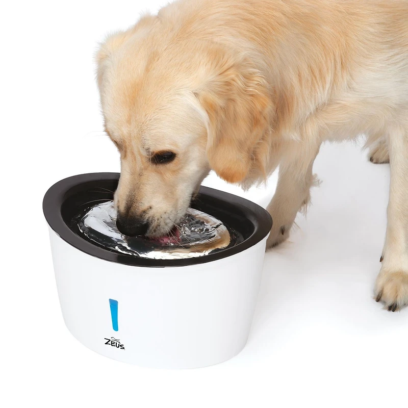 Abreuvoir pour chiens Cascade Zeus, acier inoxydable, 6 L,