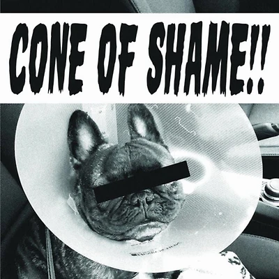 Faith No More - Cone of Shame (vinyl)
