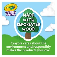 12 PACK BUNDLE OF 24 COUNT CRAYOLA COLOURED PENCILS