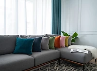Gouchee Home Solid Velvet Coussin