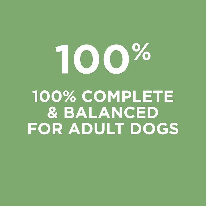 Purina Dog Chow Naturel avec du Poulet Élevé dans une Ferme, Nourriture Sèche pour Chiens 19,3 kg 19,3 kg