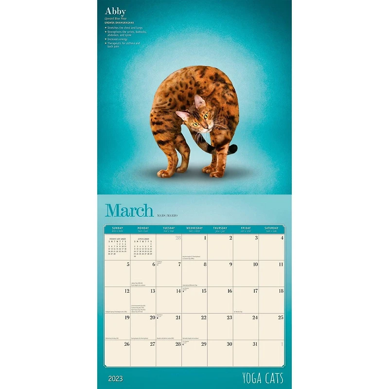 Yoga Cats 2023 Square