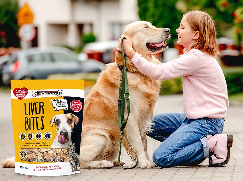Chewmasters Gateries de Foie pour Chien 454g