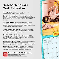 BrownTrout Canada Avanti Chatons grognons 2024 12x24 Inch Square Wall Calendar, 9781975470371