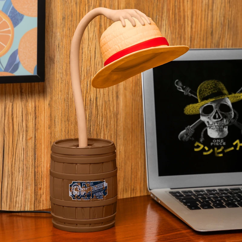 Straw Hat Posable Light