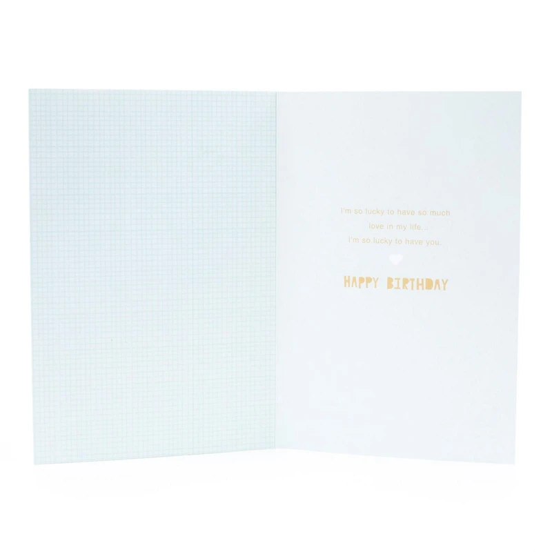 Hallmark Signature Birthday Card (Every Day I Love You)