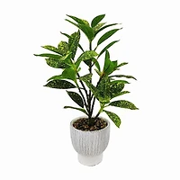 Plante de Lerman Decor en pot de ciment Plante artificielle