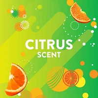 Scrubbing Bubbles® Fresh Brush Toilet Bowl Cleaner, Flushable Refills, Citrus Scent, 12 Brush Pads