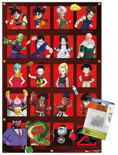 Dragon Ball Z - Anniversary Wall Poster