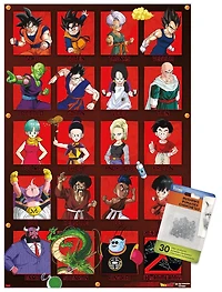 Dragon Ball Z - Anniversary Wall Poster