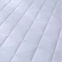 Couvre-matelas Protection Totale de Mainstays pour lit d'1 place Lit d'1 place