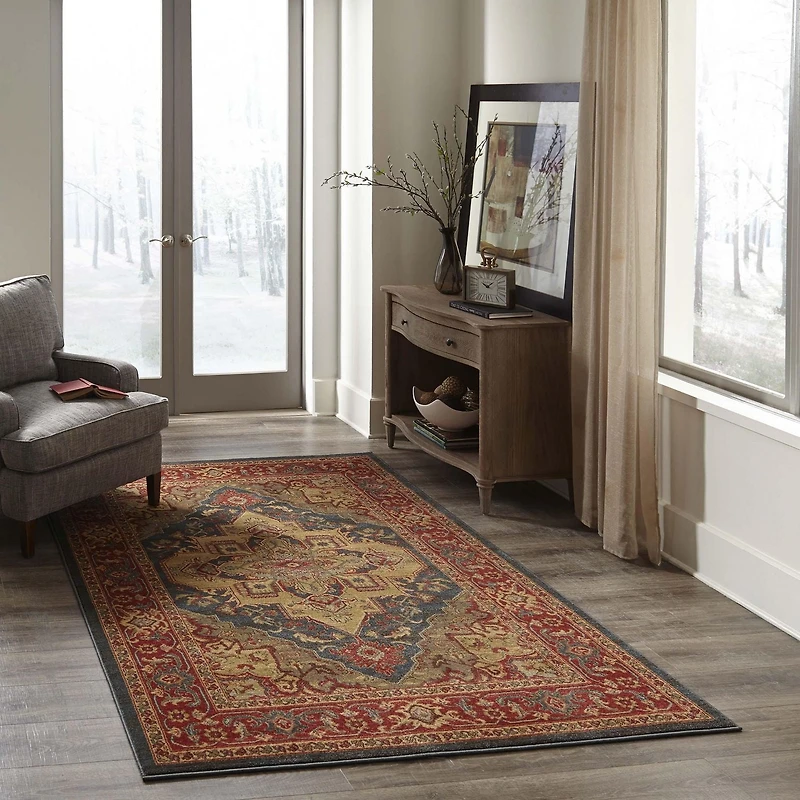 ECARPET Lux Traditional Area Rug for Living Room, Bedroom, Dining Entrance, Hallway and More.