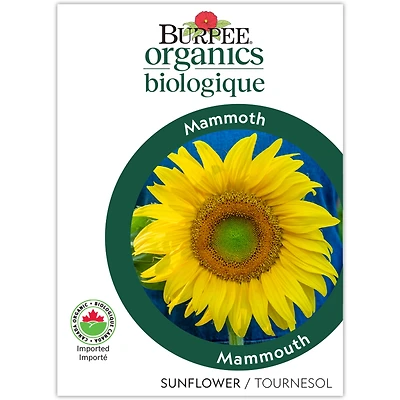 Burpee Organic Mammoth Sunflower, Plant Seeds for Home Garden
