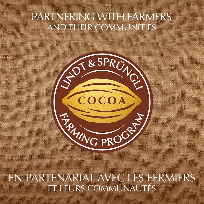 Lindt EXCELLENCE Ecuador 75% Cacao Dark Chocolate Bar, 100g, 100 g