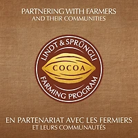 Lindt EXCELLENCE Ecuador 75% Cacao Dark Chocolate Bar, 100g, 100 g