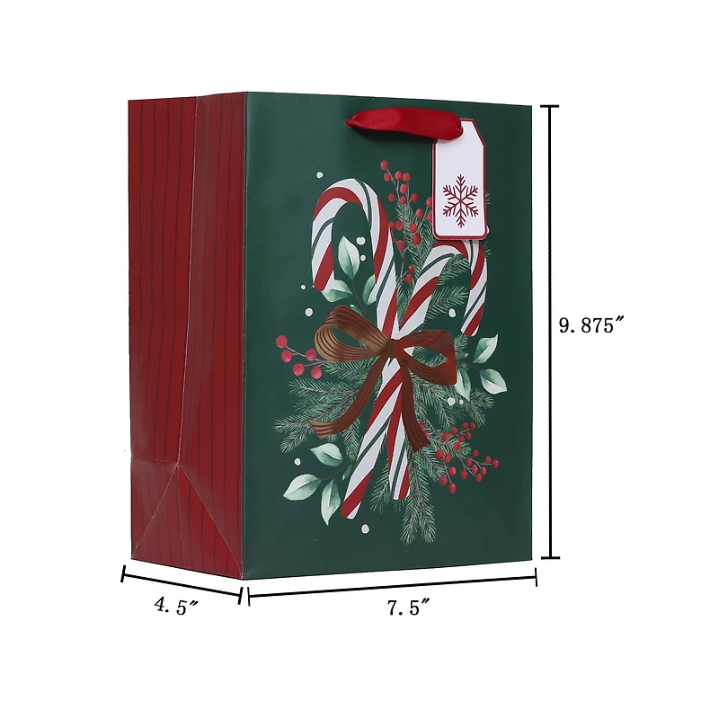 Holiday Time Green and Red Christmas Paper Gift Bag, Medium, HOLIDAY TIME PL CANDYCANE GIFT BAG