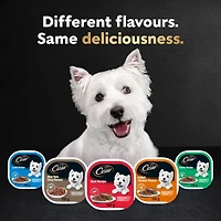 Nourriture humide pour chiens adultes CESAR pain classique en sauce en format variété Amateurs de poulet, saveur de poulet grillé, recette au poulet et au foie, recette au poulet et au veau, 24 barq