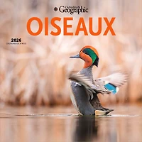 Canadian Geographic Oiseaux 2026 Carré FRANÇAISE Wyman DÉJOUER