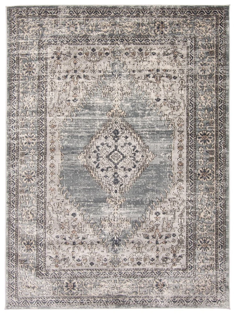 ECARPET Vintage Oriental Area Rug for Living Room Bedroom