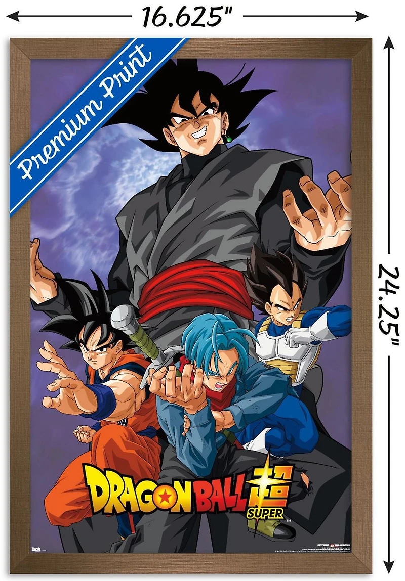 Dragon Ball: Super - VIllain Wall Poster, 22.375" x 34"