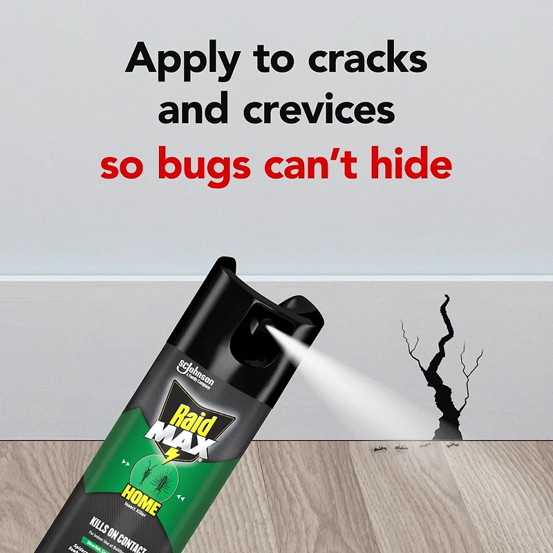 Insecticide Raid Max contre les insectes domestiques, tue les insectes en question par contact, pour utilisation à l’intérieur et à l’extérieur, 500 g 500 g