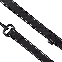 One Paw, Webbing Leash for Dogs