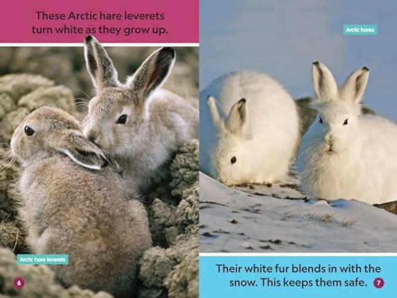 Polar Babies (National Geographic Kids Explore! Readers, Pre-Reader) (National Geographic Readers)