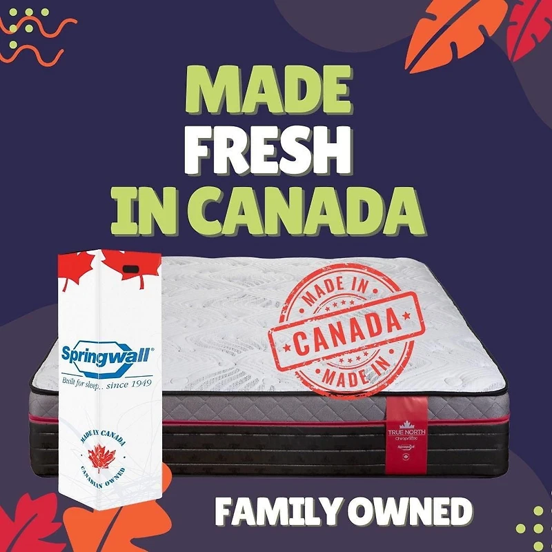 Springwall 13" PLUSH Euro Top Pocket Coil Mattress (MADE FRESH each TIME) Shipped in a box