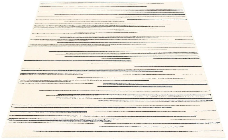 Tapis d'Interieur ECARPET Ray