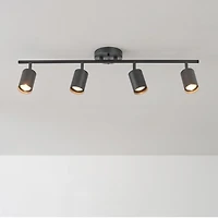 Rail d’éclairage à 4 ampoules de 30 po noir mat