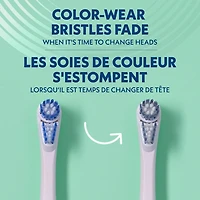 Têtes de rechange pour brosse à dents électrique Spinbrush PRO CLEAN, soies moyennes, 2 unités Spinbrush PRO CLEAN