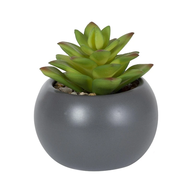 hometrends Kelvin Faux Succulent in Grey Pot