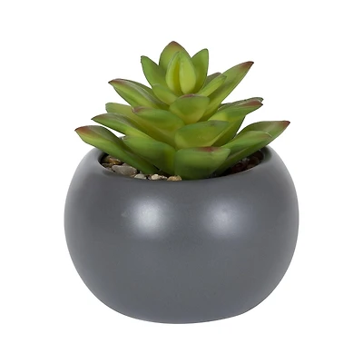 hometrends Kelvin Faux Succulent in Grey Pot