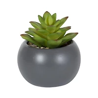 hometrends Kelvin Faux Succulent in Grey Pot