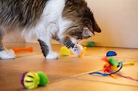 Multipet 24 Piece Value Pack Cat Toys